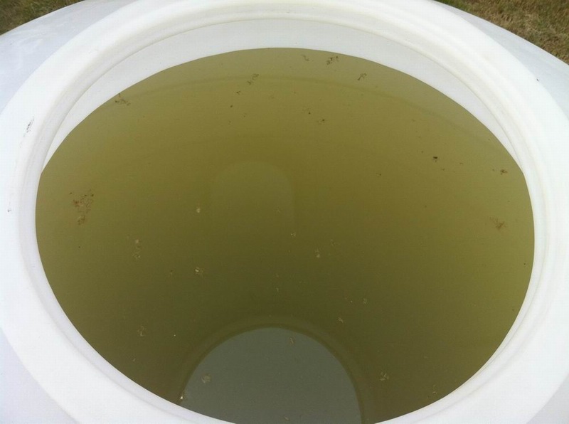 处理后的含油废水